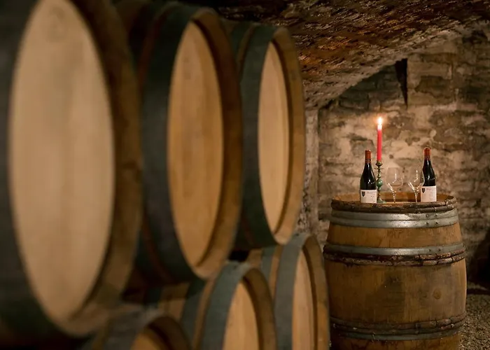 Hotel Des Tonneliers Beaune (Cote d'Or)
