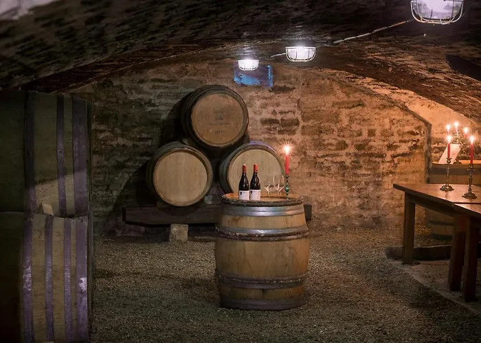 Des Tonneliers Hotel Beaune (Cote d'Or)