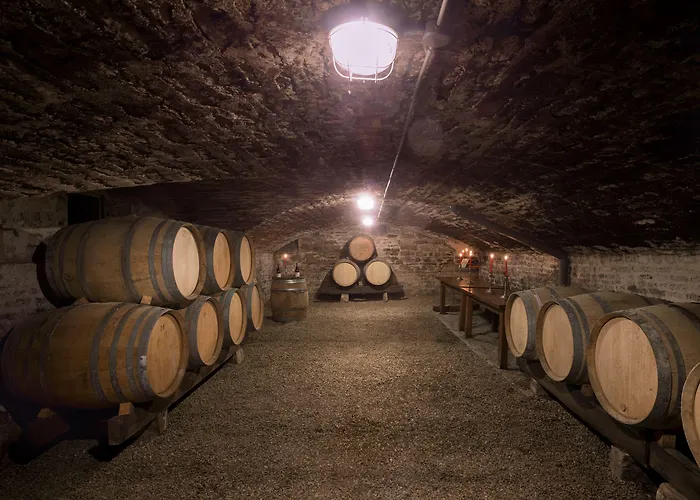 Des Tonneliers Hotel Beaune (Cote d'Or)